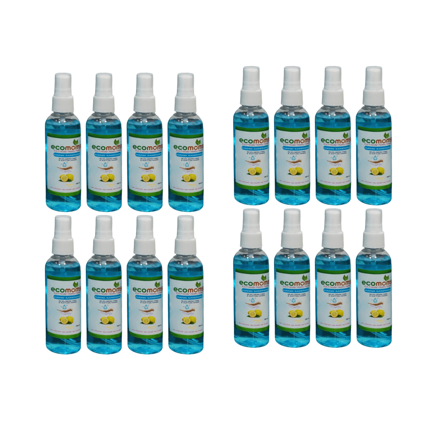 Ecomoms Hand Sanitizer| Kills Germs and Viruses on Hand, Safe for Skin & Body - 100ml - Ecomoms